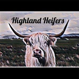 Meet your Posher, Hailey